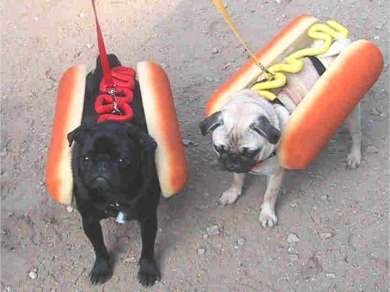 hot_dogs